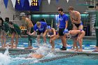 Swimming & Diving vs Babson  Swimming & Diving vs Babson College. - Photo by Keith Nordstrom : Wheaton, Swimming